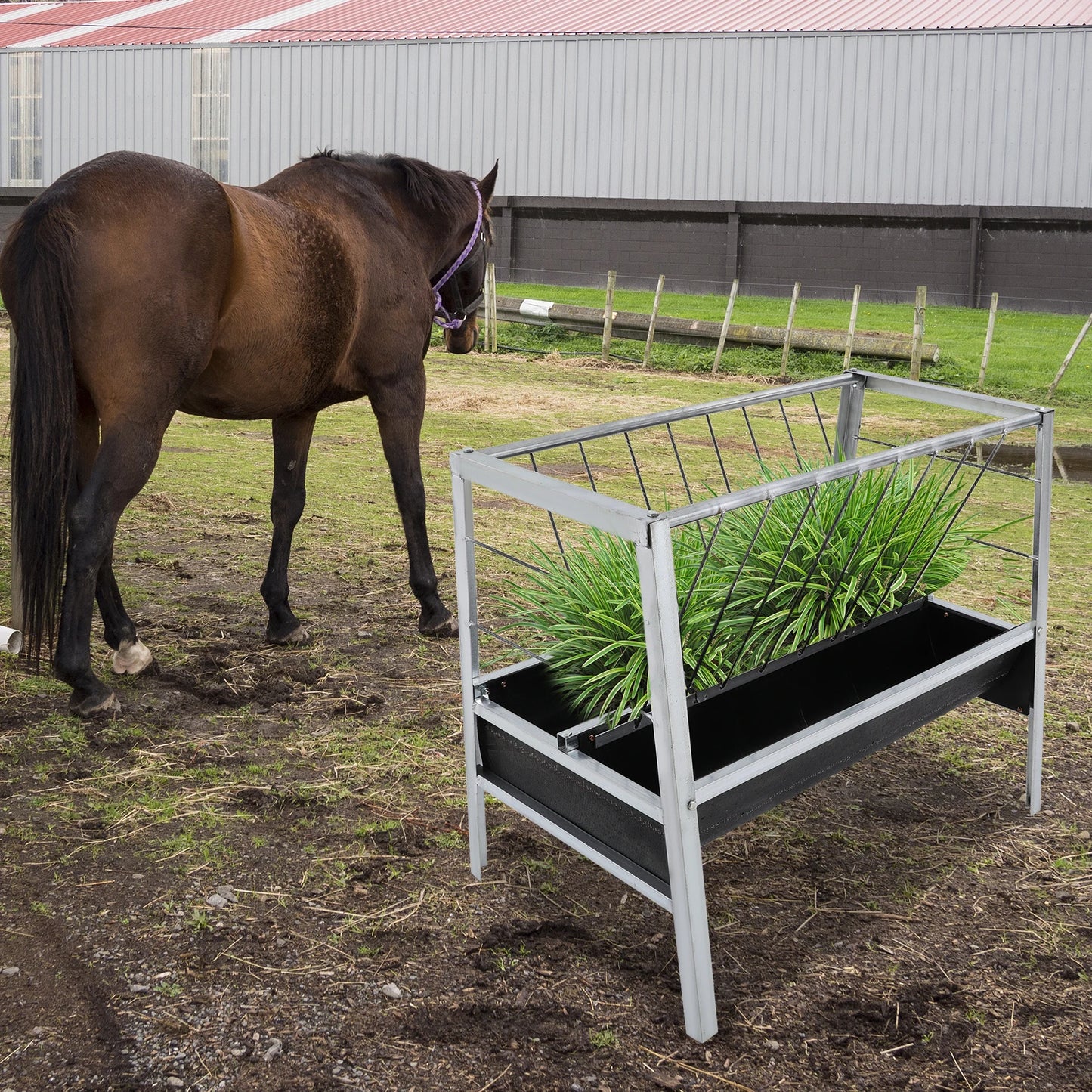100*65*85cm Livestock Feed Trough 2 in 1 Grain Hay Iron Steel Feeder for Goats Sheep Large Capacity Feed Trough