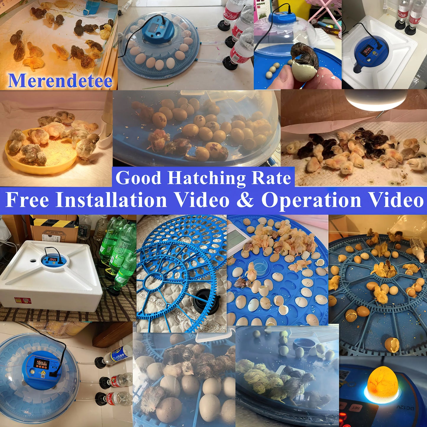 26-52 Eggs Automatic Incubator,Upgrade Automatic Water Adding,360 Degree View,incubators for hatching eggs,Without Install