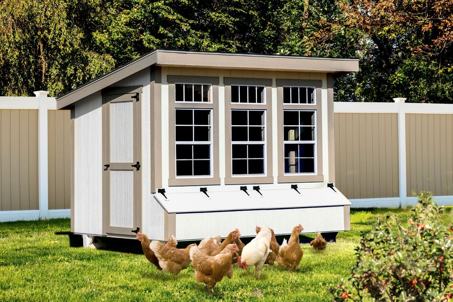 Animal Shelters