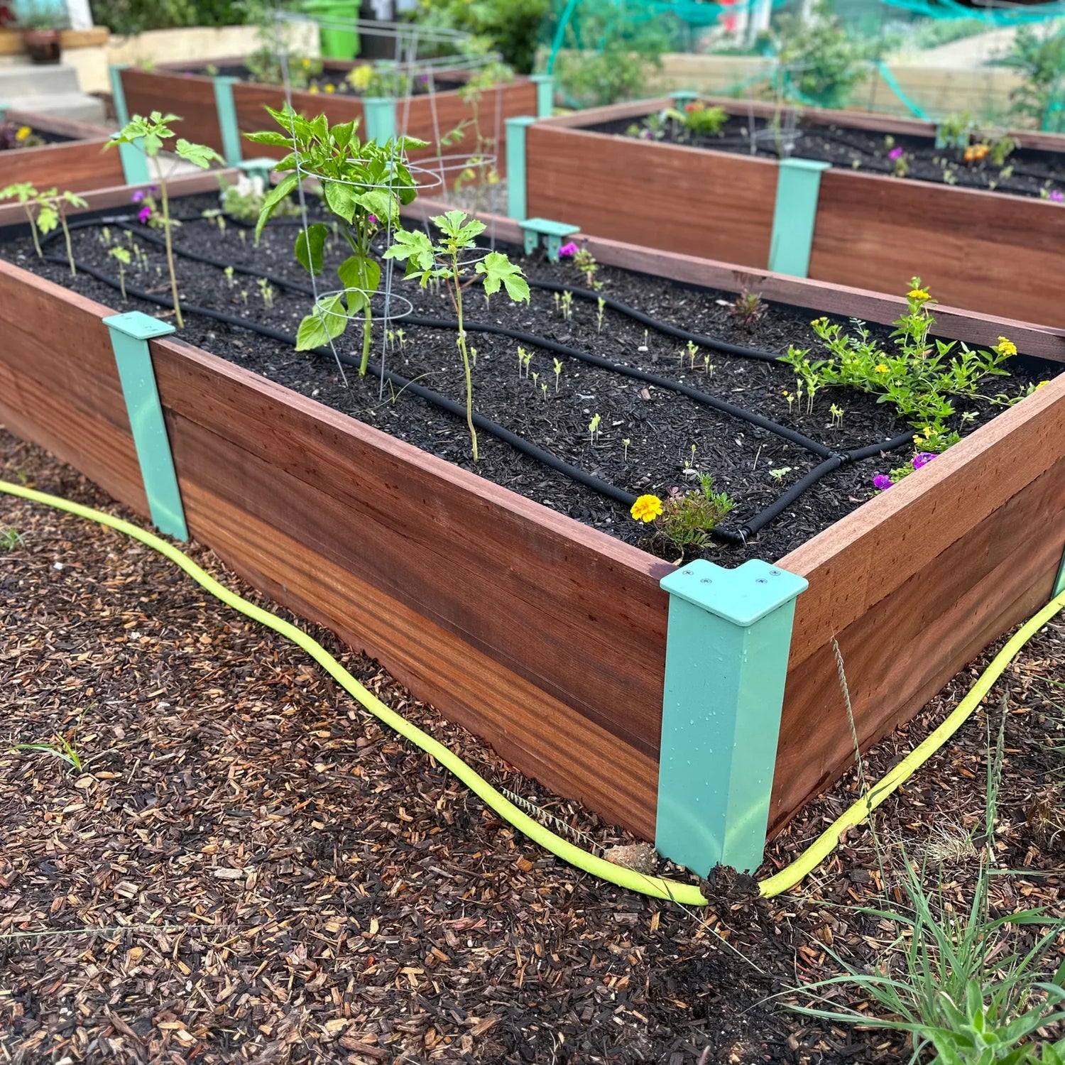 Planters