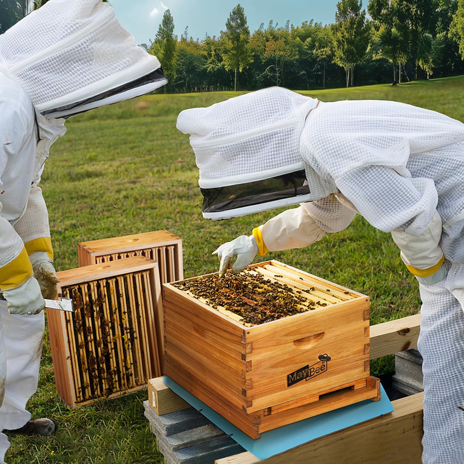 Bee Keeping