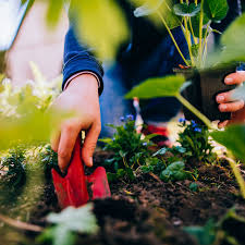 Planting Essentials