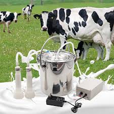 Livestock milking equipment