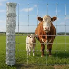 Fencing