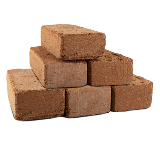 Coco Coir Brick for Plants- 6 Pack Premium 100% Organic Peat Moss, Fiber Coconut Husk for Planting, Gardening