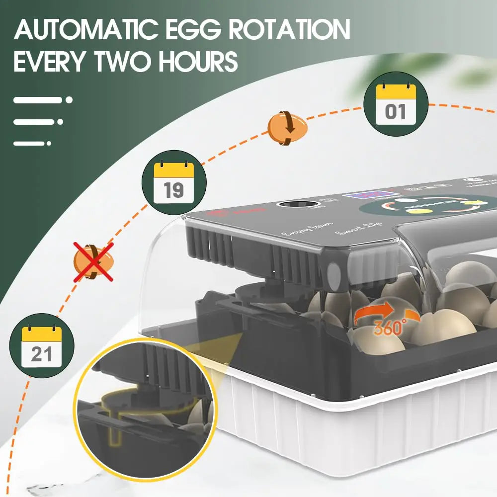 12 Egg Incubator - Automatic Egg Turner, Temperature Control, Built-in Candler, Auto Water Refill for Hatching Chicken, Duck, Qu