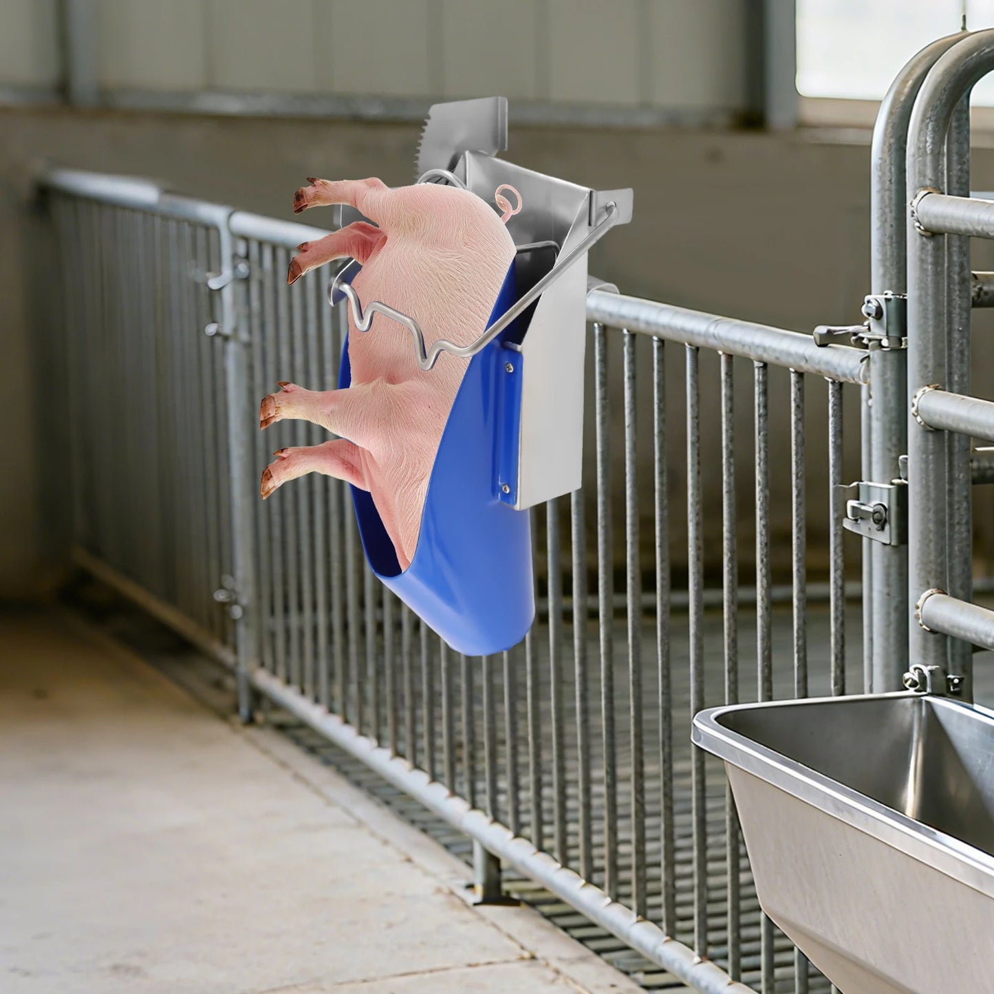 Pig Castration Rack Small Size, 304 Stainless Steel Castration Tools, Livestock Restraint for Piglets, Veterinary Farm Equipment