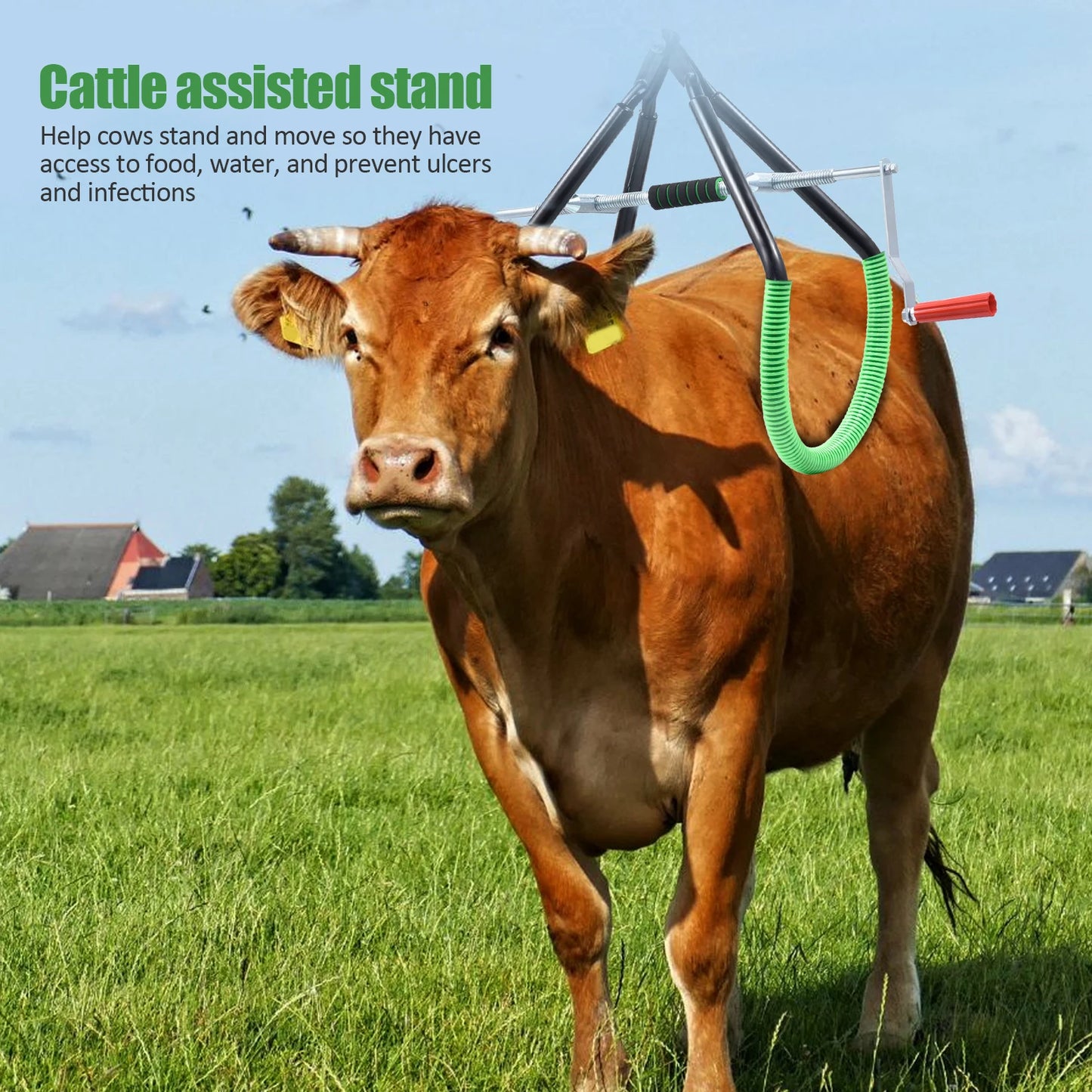 Cow Hip Lift, Heavy-Duty Cattle Lifter - Steel Cow Lift with Adjustable Pitch, Triangular Support Stand Up Assist Tool for Calving Milking Birthing Dystocia and Recovery Aid - 2204lb Capacity