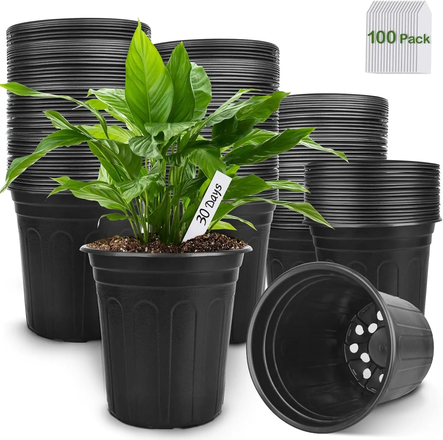 100 Pack 1 Gallon Plastic Plant Pots with Drainage Holes, Ideal for Succulents and Seedlings