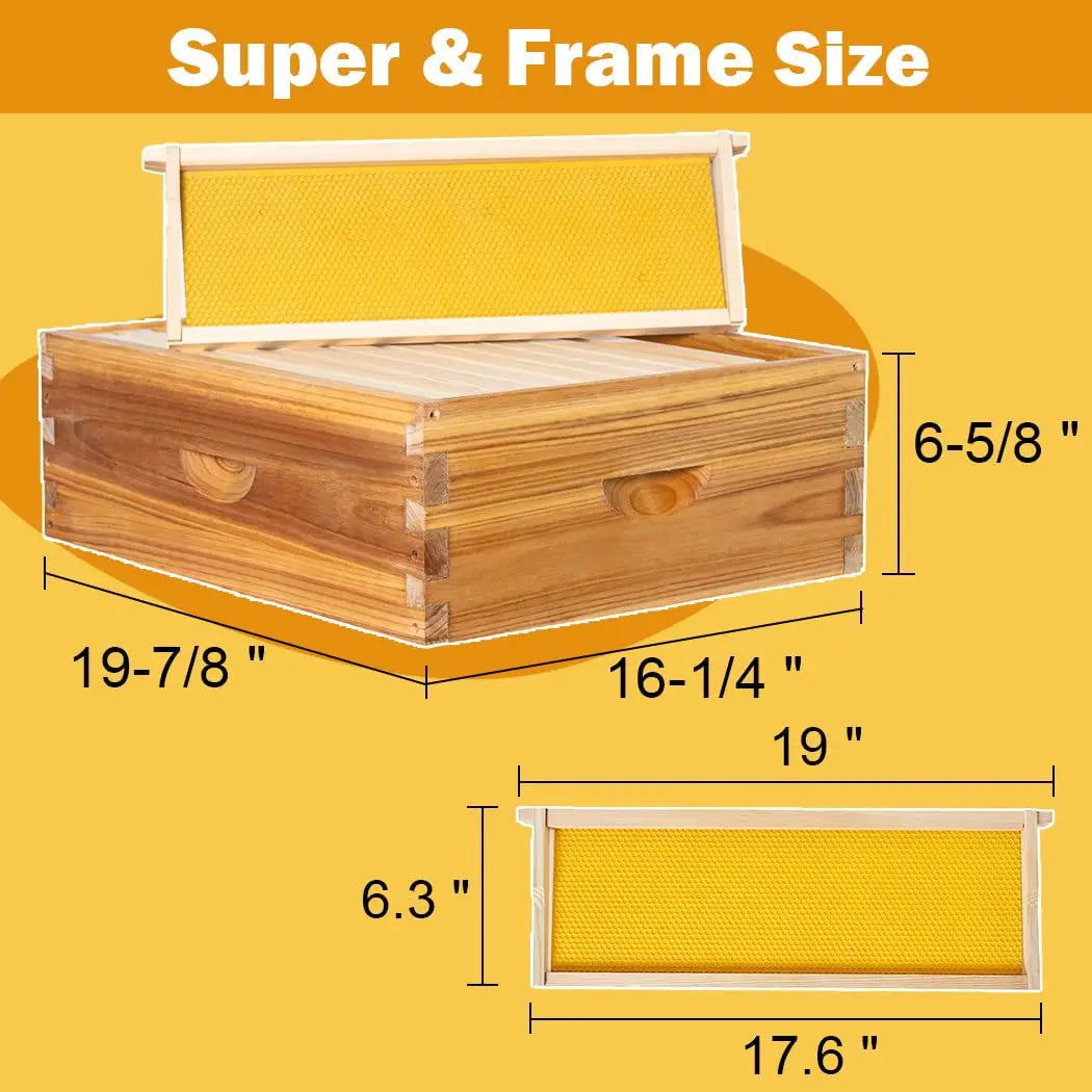 10-Frame Wax-Dipped Beehive Kit with Screened Bottom, 2 Deep & 1 Medium Box, Frames & Foundations, Custom