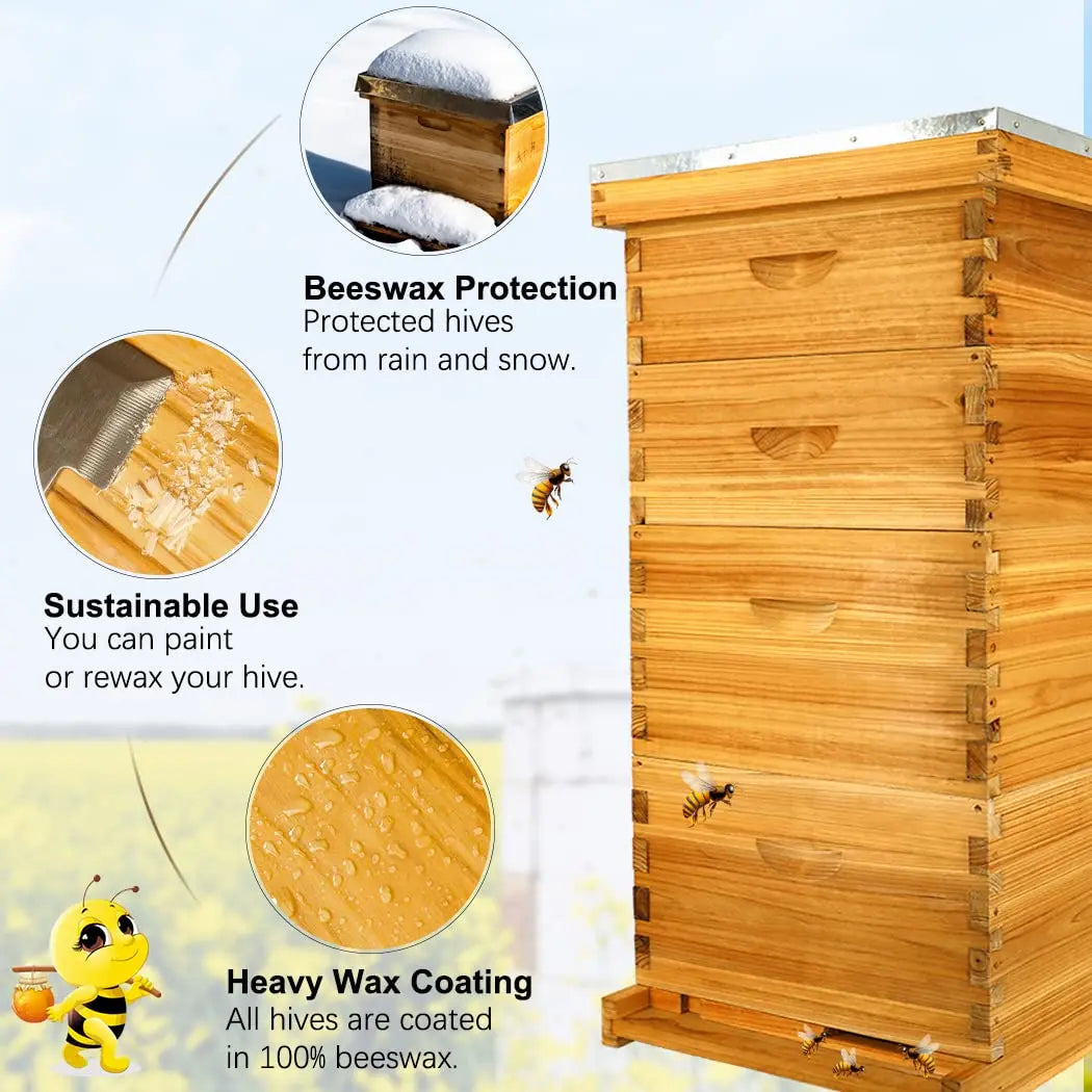 8-Frame Langstroth Beehive, 100% Beeswax Complete Kit, 2 Deep Boxes & 2 Supers with Frames & Foundation, Custom