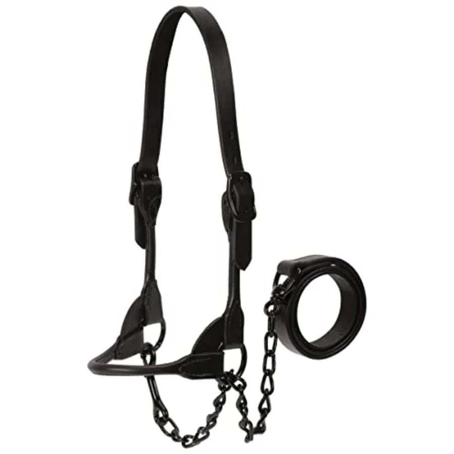 Livestock Black Magic Show Halter Medium: for cattle shows premium nylon black adjustable fit and polished hardware