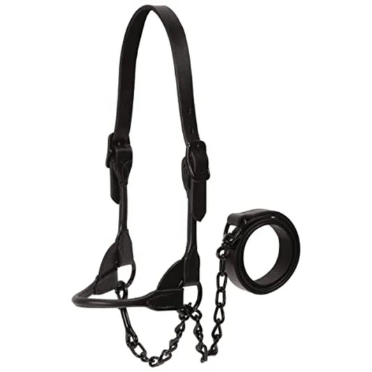 Livestock Black Magic Show Halter Medium: for cattle shows premium nylon black adjustable fit and polished hardware