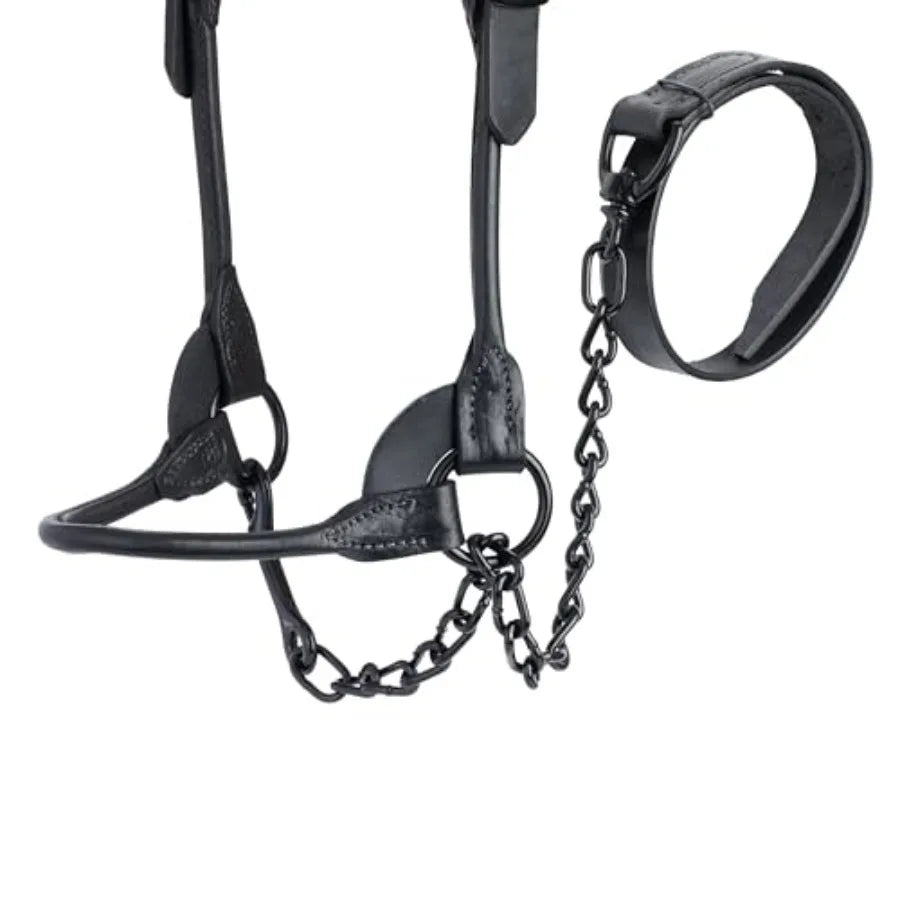 Livestock Black Magic Show Halter Medium: for cattle shows premium nylon black adjustable fit and polished hardware