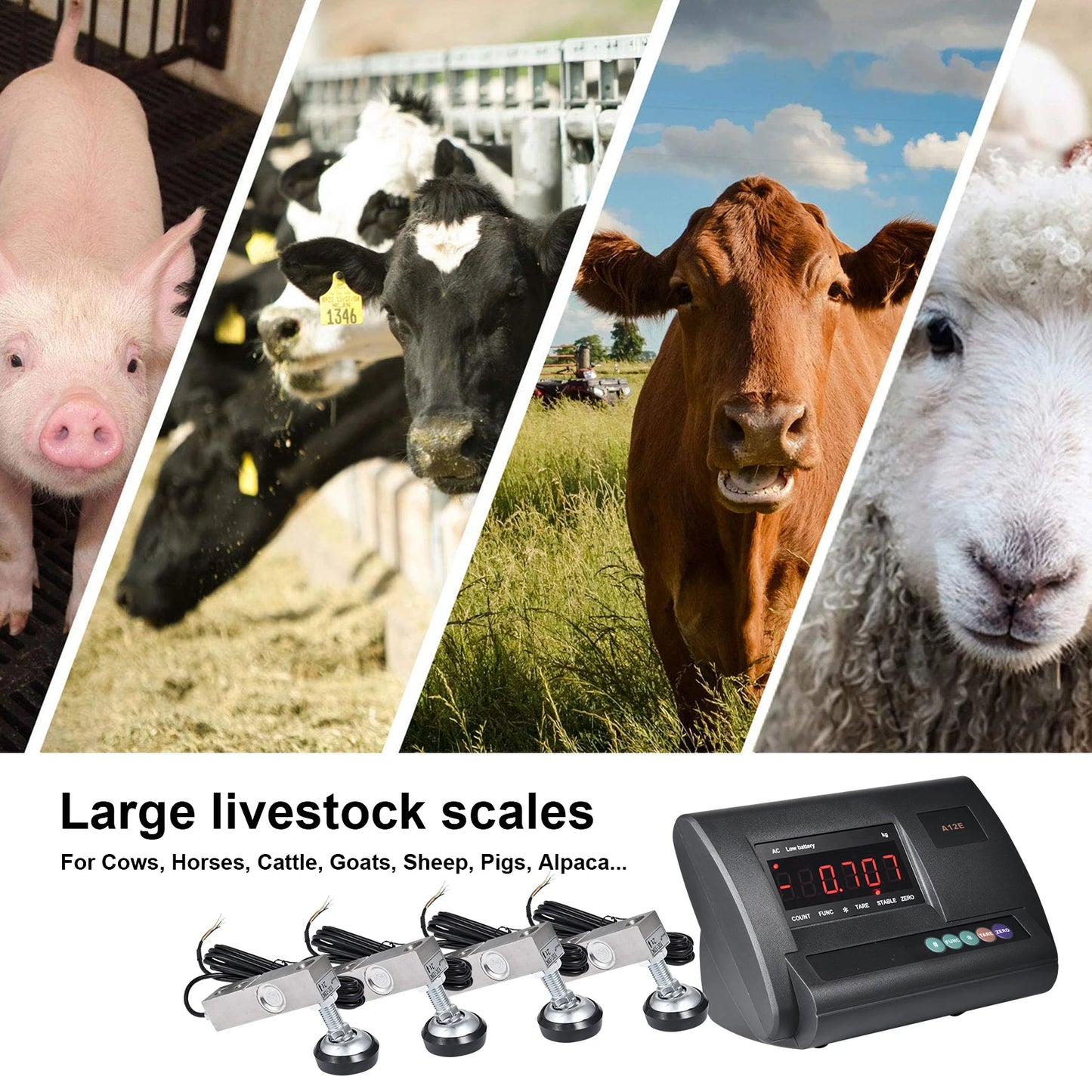 Livestock Scale | 10000lb Capacity Livestock Scale Kit | Precision Livestock Floor Scale Kit with 4 Two-Ton Sensors, Junction Box for Cattle Sheep Horse