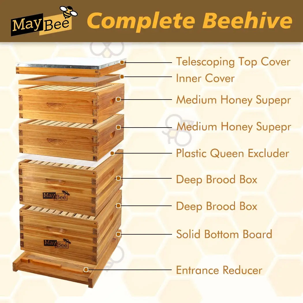 8-Frame Langstroth Beehive, 100% Beeswax Complete Kit, 2 Deep Boxes & 2 Supers with Frames & Foundation, Custom