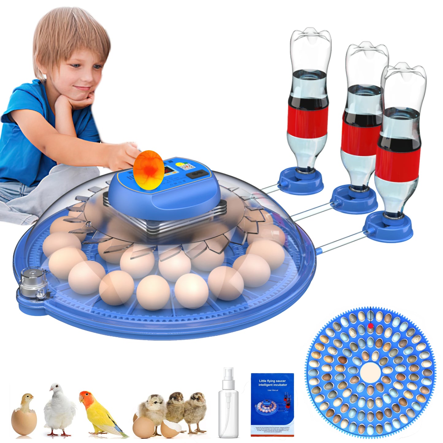 26-52 Eggs Automatic Incubator，Upgrade Automatic Water Adding，360 Degree View，incubators for hatching eggs，Without Install