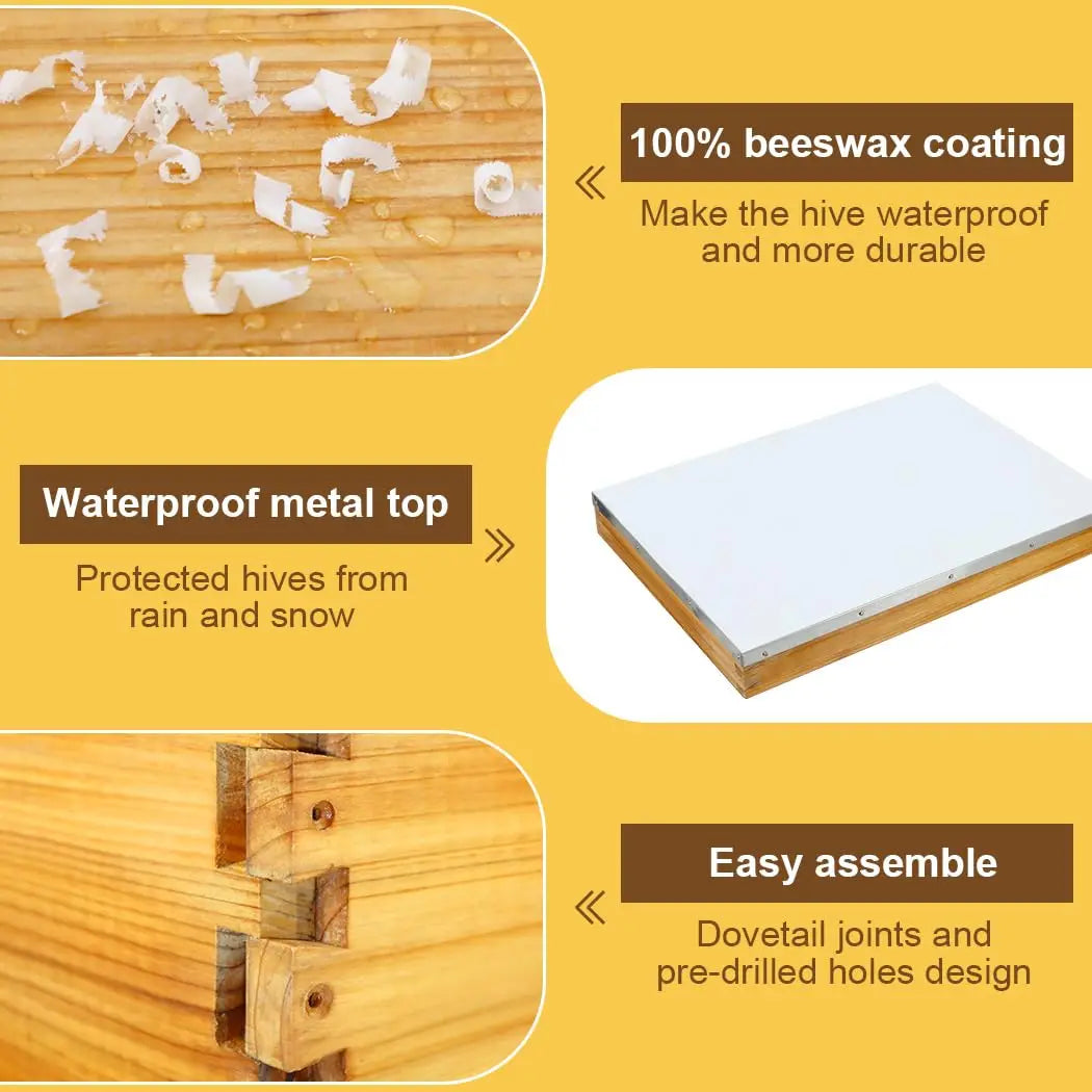 10-Frame Wax-Dipped Beehive Kit with Screened Bottom, 2 Deep & 1 Medium Box, Frames & Foundations, Custom