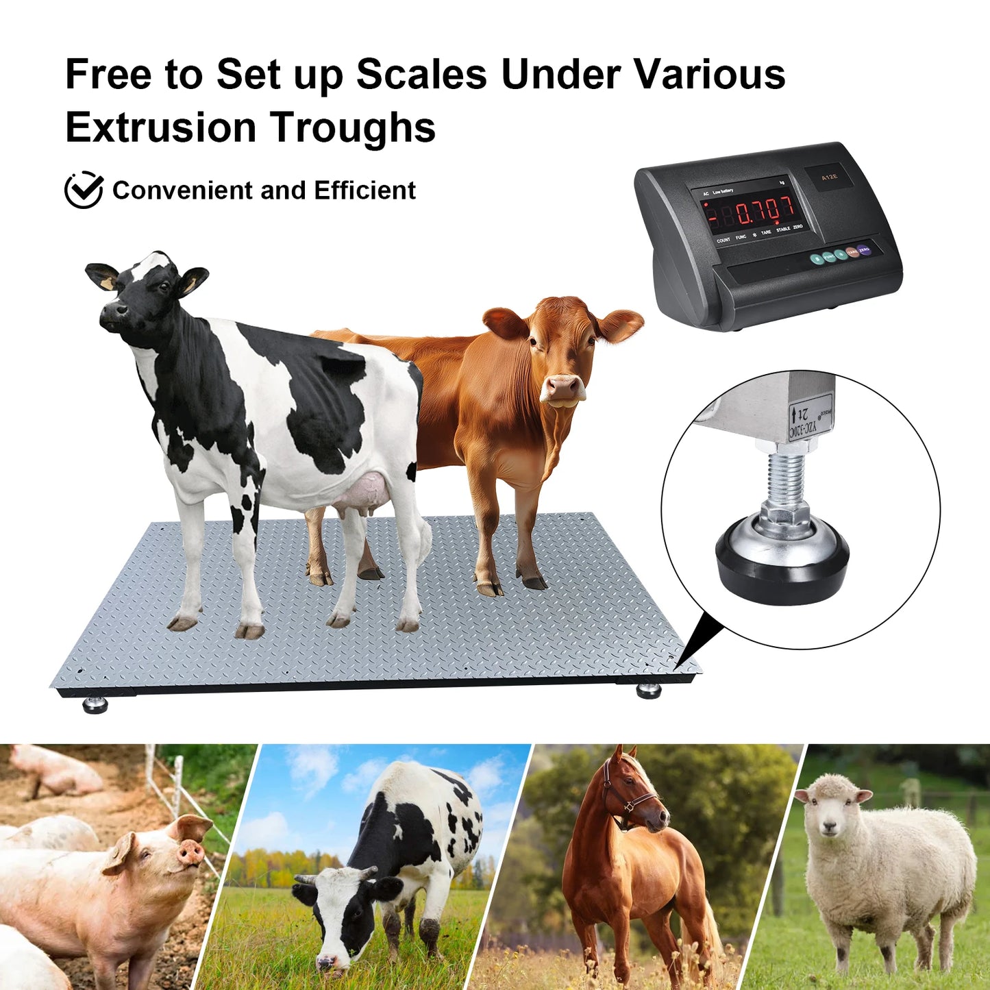 Livestock Scale | 10000lb Capacity Livestock Scale Kit | Precision Livestock Floor Scale Kit with 4 Two-Ton Sensors, Junction Box for Cattle Sheep Horse