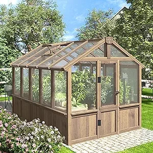 6' x10' Wood Greenhouse for Outdoors with Lockable Door, Cedar Frame & Adjustable Vent, Wooden Green House with 6MM Thick Polyc