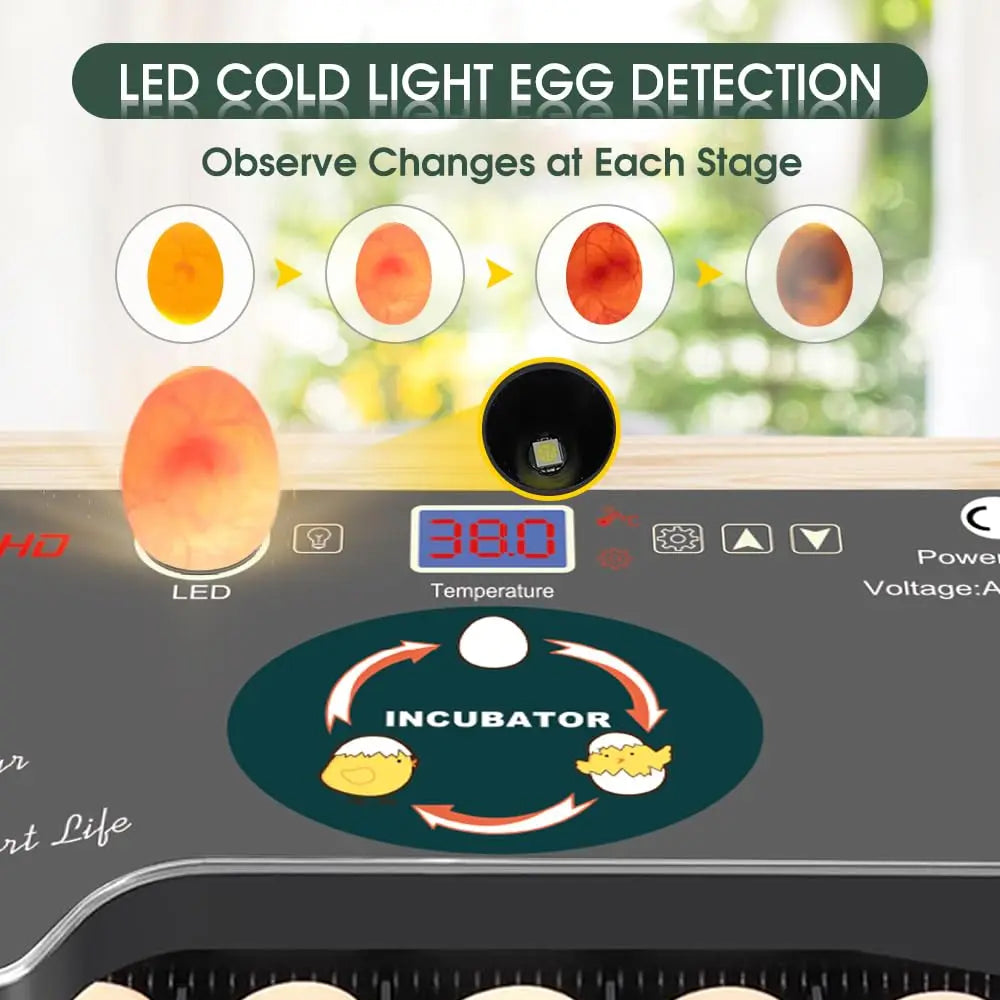 12 Egg Incubator - Automatic Egg Turner, Temperature Control, Built-in Candler, Auto Water Refill for Hatching Chicken, Duck, Qu