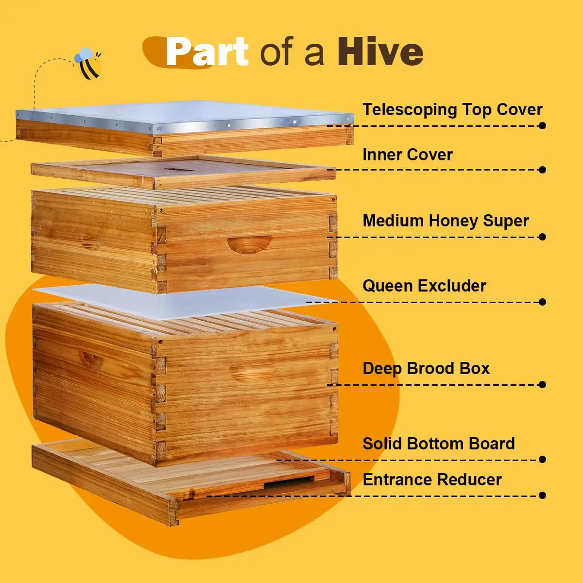 10 Frame Langstroth Beehive Kit Dipped in Heavy Beeswax Bee Hives with 1 Deep Bee Box and 1 Medium Bee Hive Box, Customized