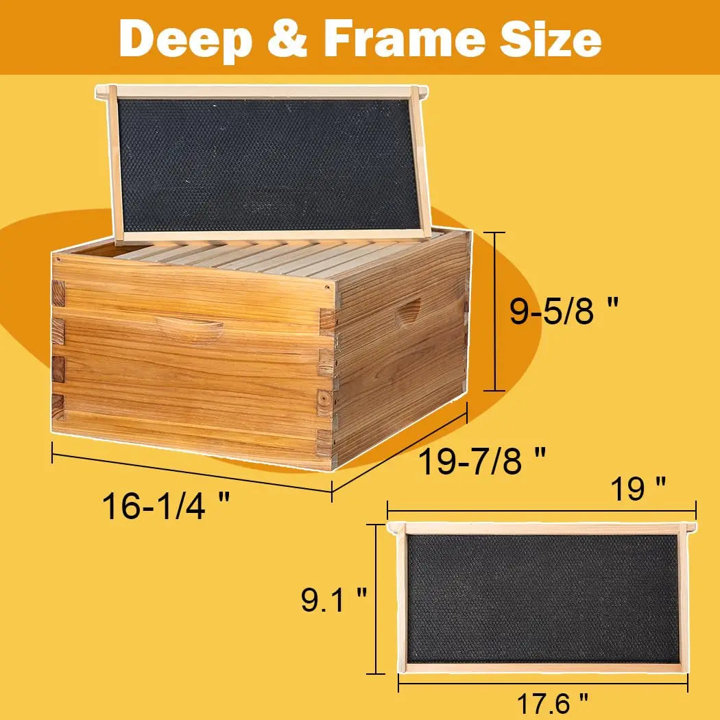 10 Frame Langstroth Beehive Kit Dipped in Heavy Beeswax Bee Hives with 1 Deep Bee Box and 1 Medium Bee Hive Box, Customized