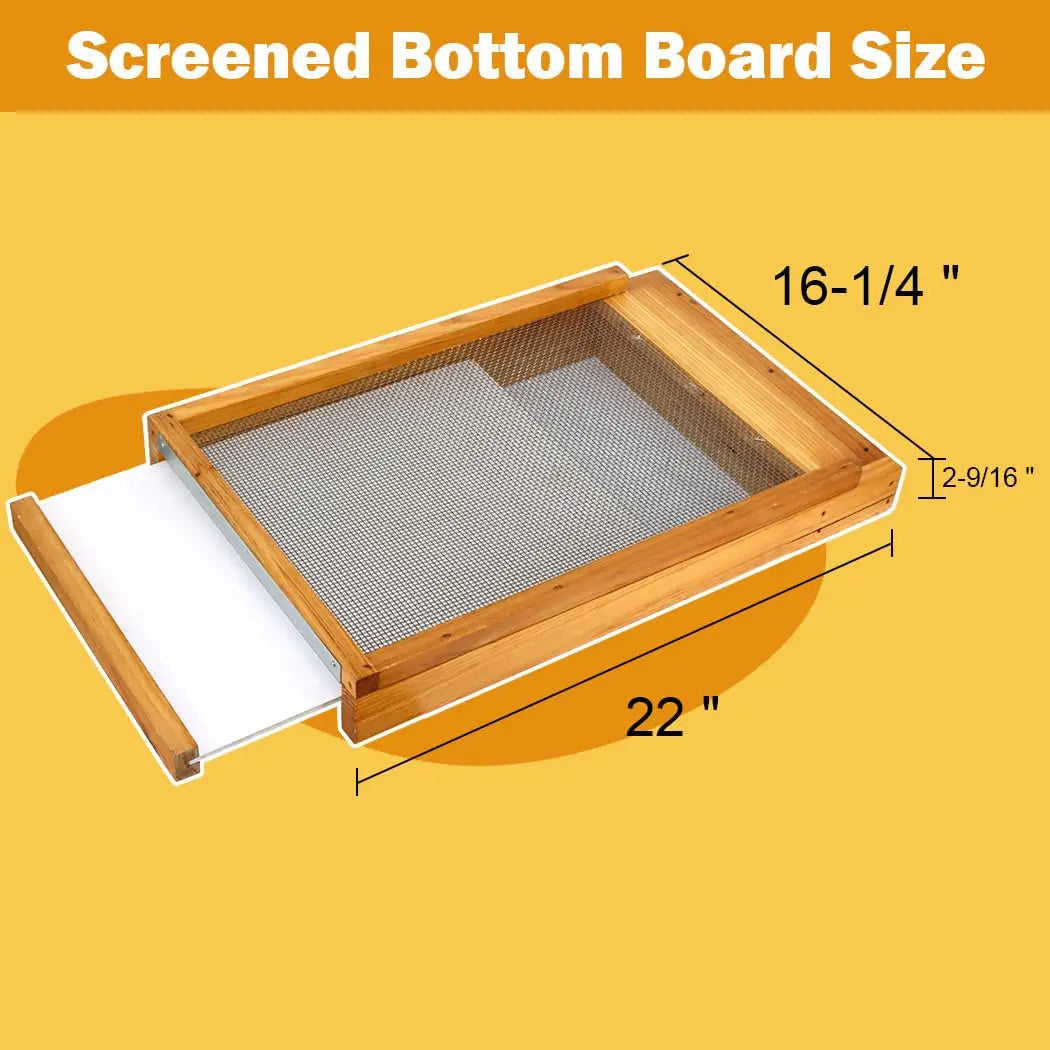 10-Frame Wax-Dipped Beehive Kit with Screened Bottom, 2 Deep & 1 Medium Box, Frames & Foundations, Custom