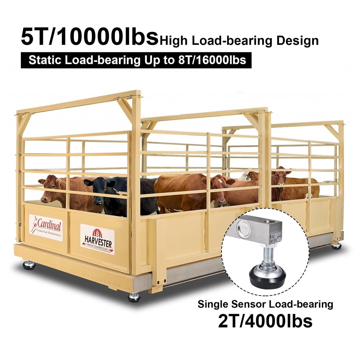 Livestock Scale | 10000lb Capacity Livestock Scale Kit | Precision Livestock Floor Scale Kit with 4 Two-Ton Sensors, Junction Box for Cattle Sheep Horse