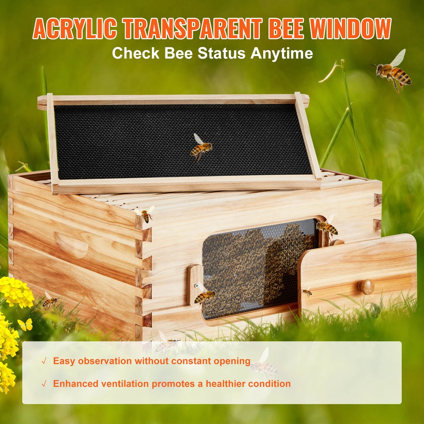 Bee Hive Deep Box Starter Kit 100% Beeswax Coated Natural Cedar Wood Langstroth Beehive Kit Transparent Acrylic